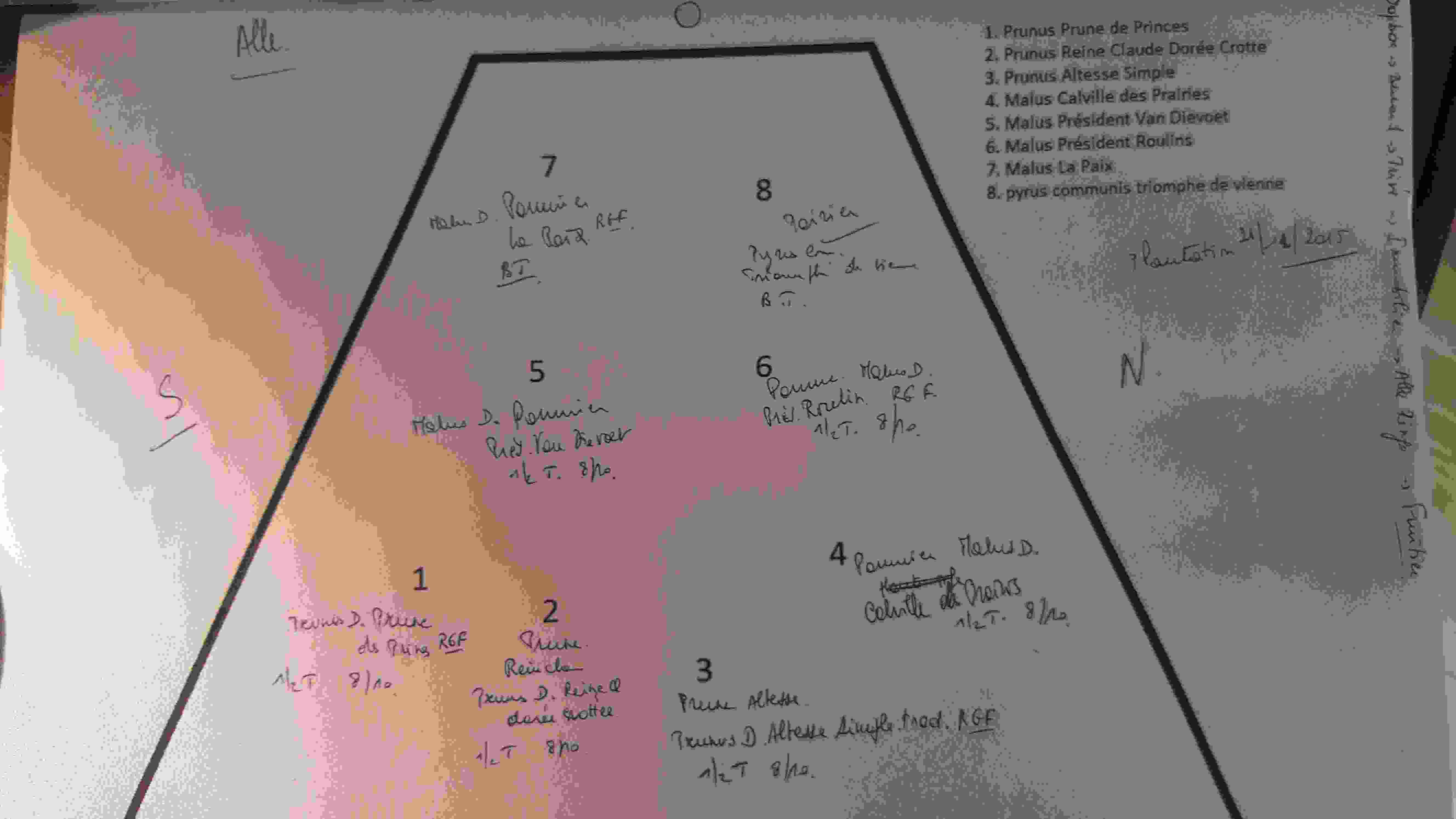 Plan fruitiers Alle.jpg